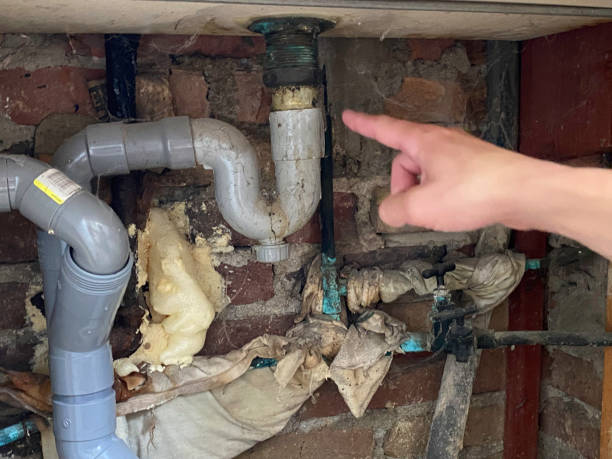 Best Carpet water damage restoration  in Waterloo, WI