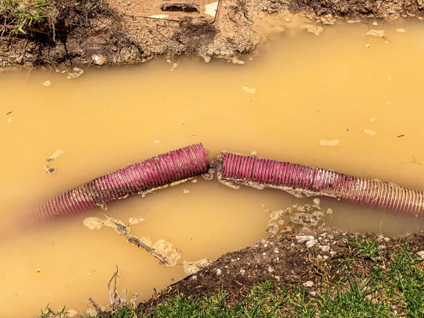 Best Emergency water damage restoration  in Waterloo, WI